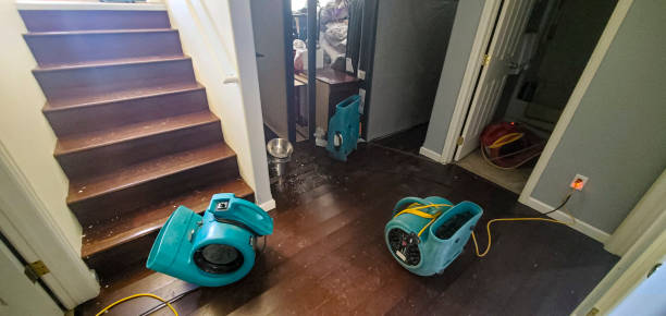 Carpet water damage restoration in TN