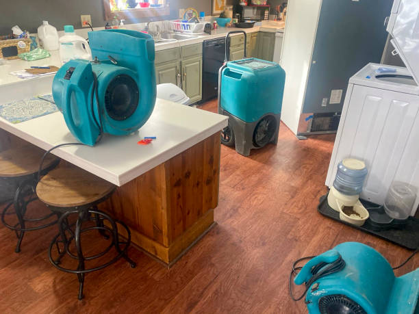 Best Water damage restoration services  in Soddy Daisy, TN
