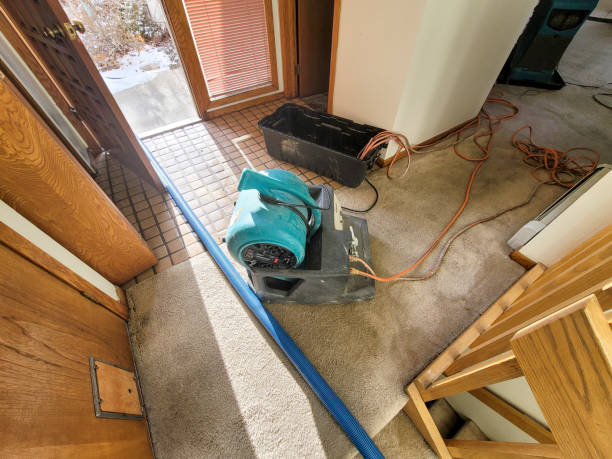 Best Fire Damage Restoration  in Soddy Daisy, TN