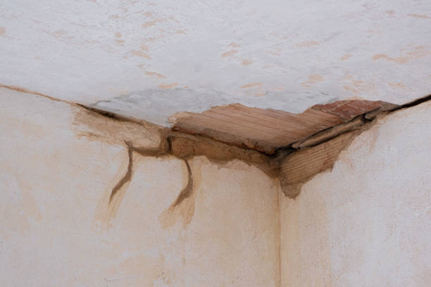 24/7 water damage repair in TN