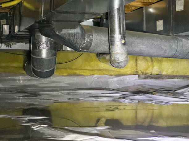 Best Sewage cleanup and water damage restoration  in Soddy Daisy, TN