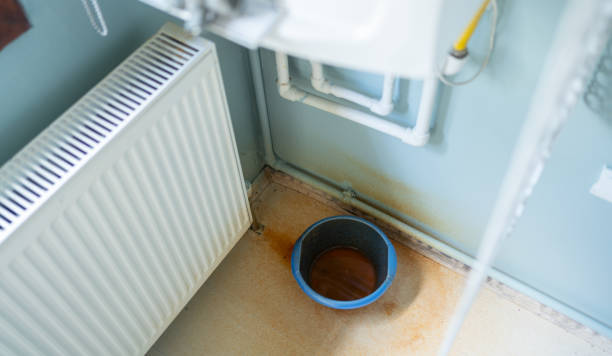 Best Water damage restoration near me  in Soddy Daisy, TN