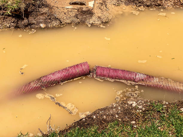 Best Water damage restoration near me  in Soddy Daisy, TN