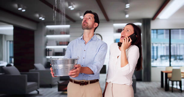 Best Ceiling water damage repair  in Soddy Daisy, TN